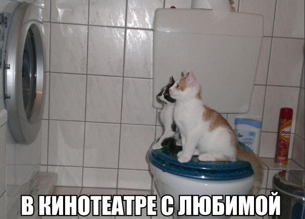 Картинки на пятницу