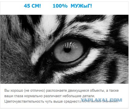 Тест: Вы воспринимаете этот мир глазами мужчины или женщины?