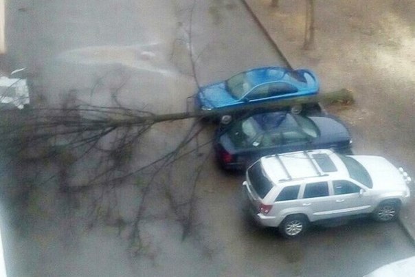Прикольные и не очень картинки из сети
