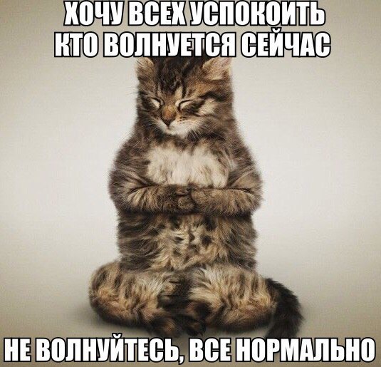 Мохнатые беспредельщики