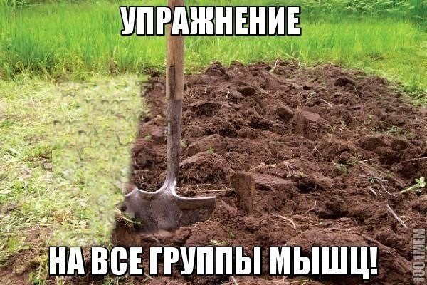 Дачные приколы