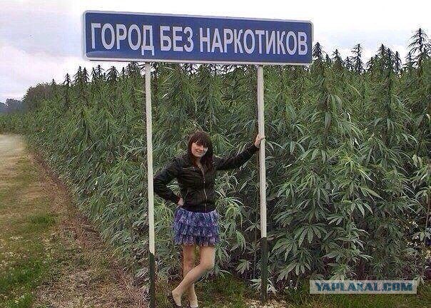 Комментарии и картинки из соцсетей