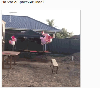 Слабоумие и отвага
