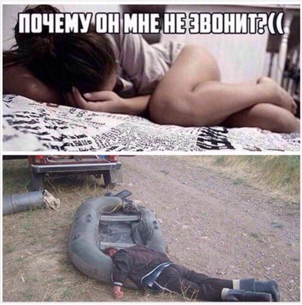 Картинки из интернетов