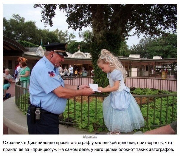 Прикольные картинки из интернета