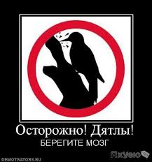 Суровая боевая тренировка