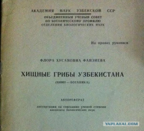 Немного когнитивного диссонанса