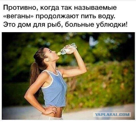 Веганы, выгде?