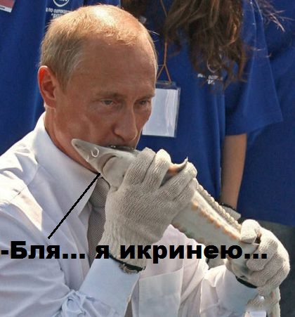 Из интернета, опять картинки