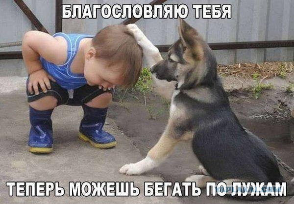 Очень много годноты