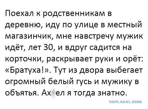 Минутка лёгкой наркомании и деградации