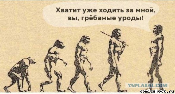 Спорные вопросы эволюции