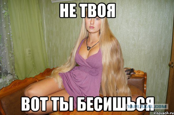 Беседка ФиС ЯПа 2
