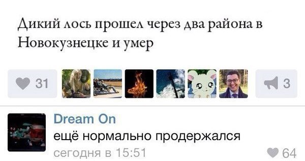 Нестандартный юмор