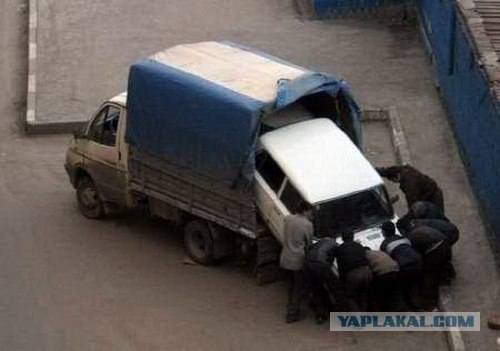 Беременная "Газель"