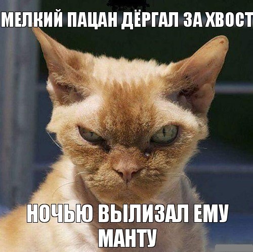 Нестандартный юмор
