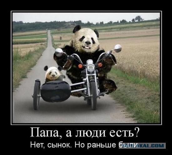 Про сытое царство лени