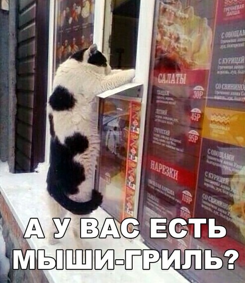 Шерстяные и весёлые
