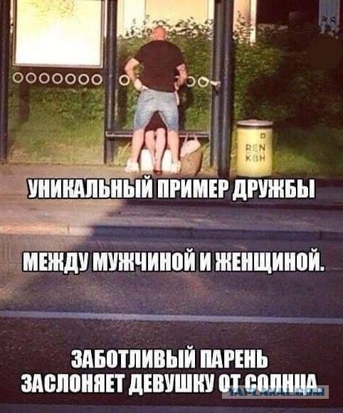 Подборка интересных и веселых картинок 27.06.19