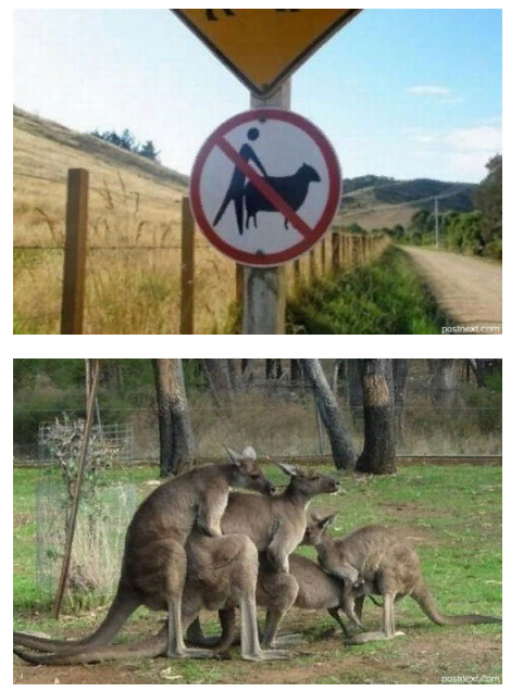 Прикольные картинки абавсём