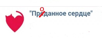 Помогите вернуть кота! Приют "Преданное сердце" украл кота и не отдает!