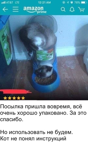 Разные и без темы