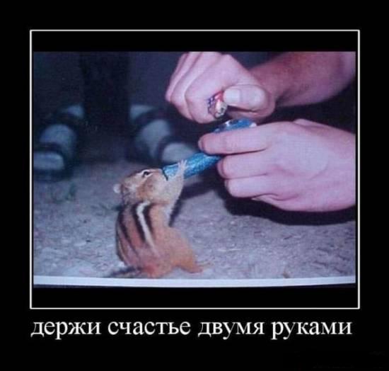 Мега-социалка!