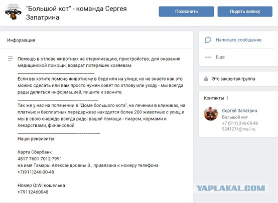 Помогите вернуть кота! Приют "Преданное сердце" украл кота и не отдает!-2