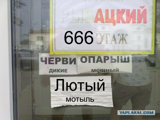 Реклама на дверях продуктового магазина