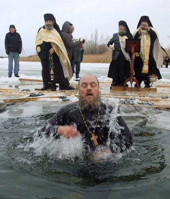 Морозоустойчивый поп