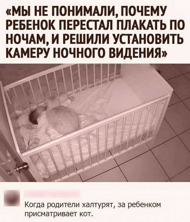 Немного картинок для настроения 02.09.20