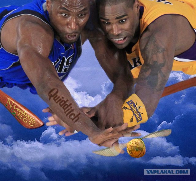 Ну очень жабельная фотография!