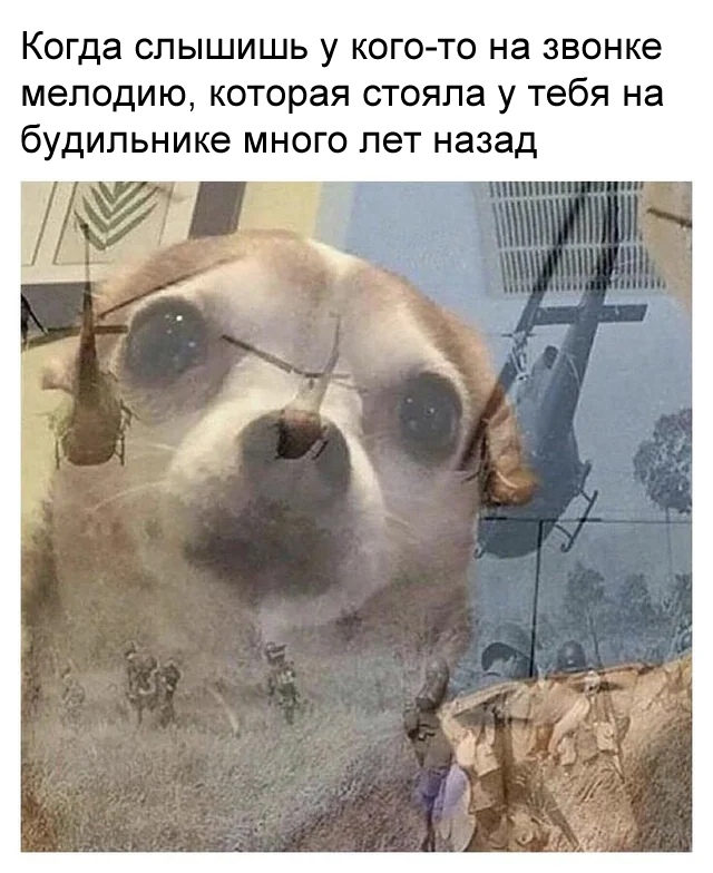 Картинки для настроения.9.02.