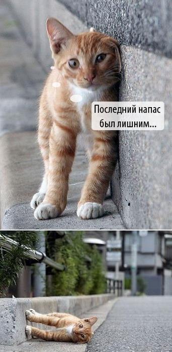Дунули и полетели