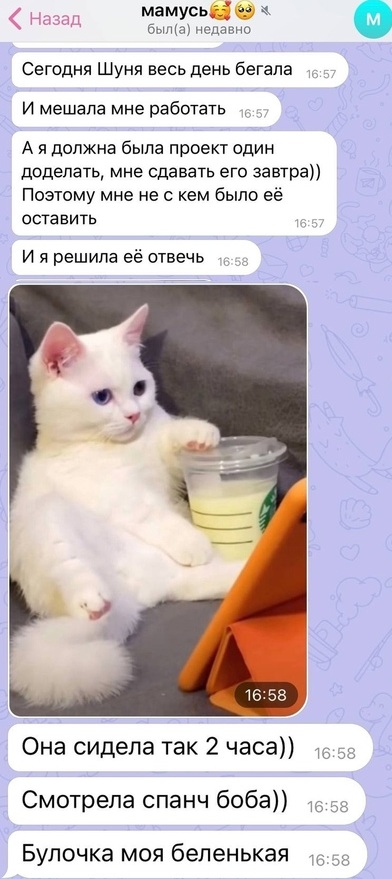 Так себе картинки 07.08.21