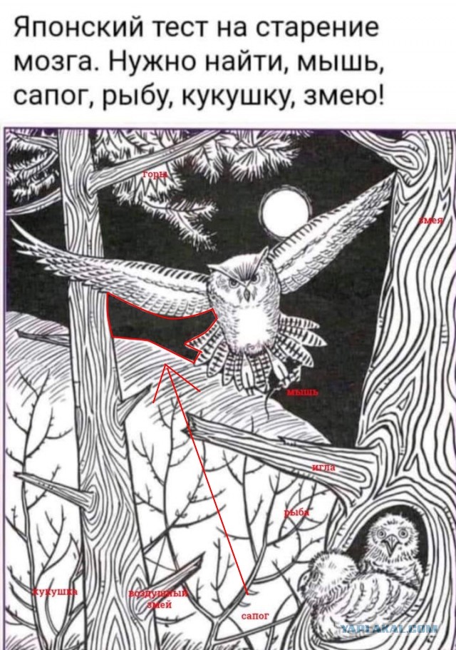 Бредзона 10.10.2021