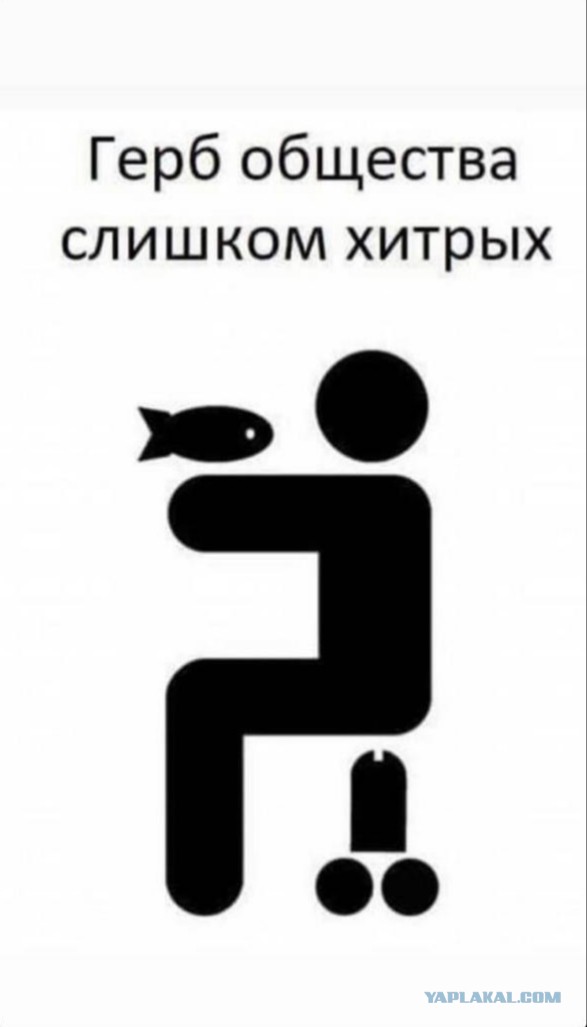 Субботний вечер удался! Или нет...