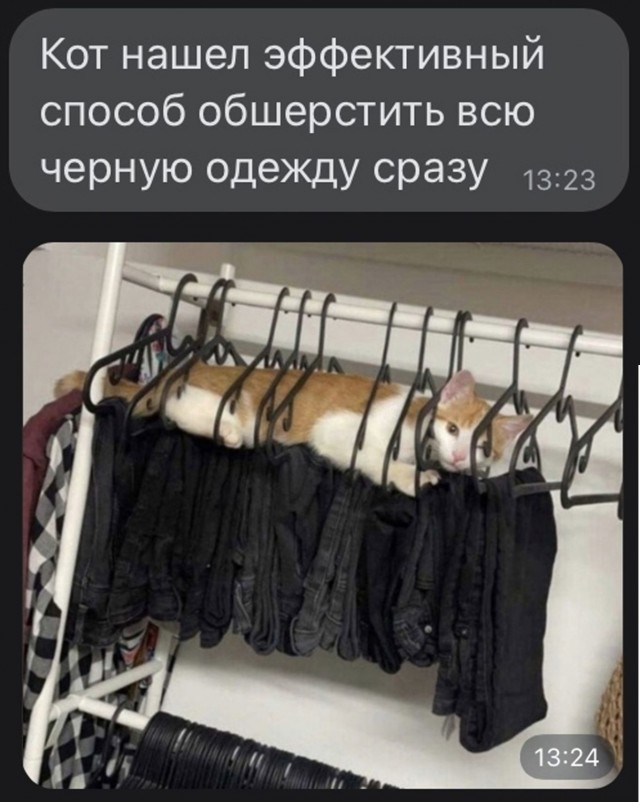 Картинки и мемы для настроения 26.10.2021