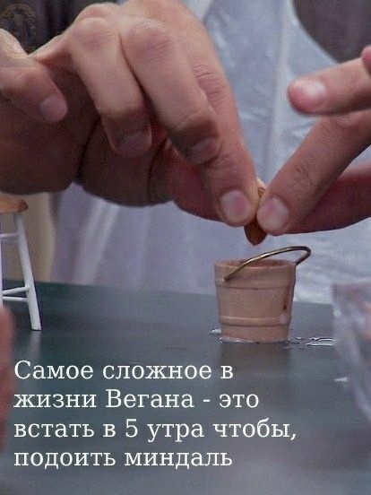 16764267.jpg