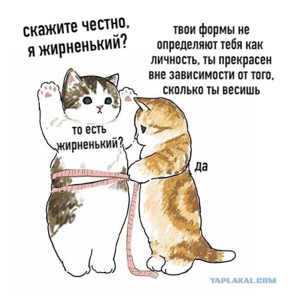 Так себе картинки 05.07.22