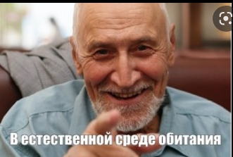 Будущее США