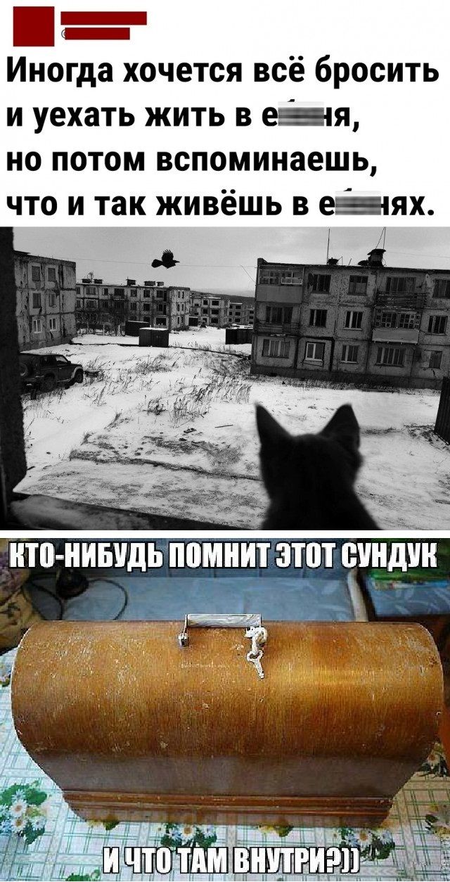 Чуток картинок 26.07.22