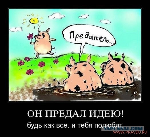 Визовые центры сообщают о новых условиях получения шенгена