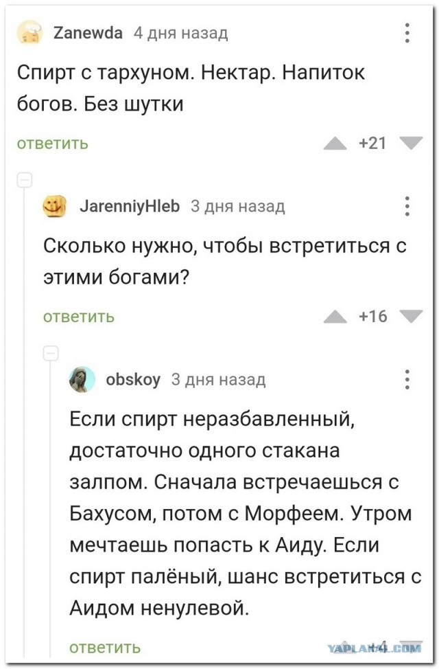 Забавные комментарии из социальных сетей 05.12.22