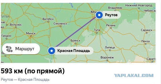 Гражданка США задержана за выгул теленка на Красной площади