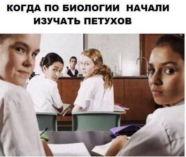 Пятая подборка самых баянистых баянов! Ностальгируем...