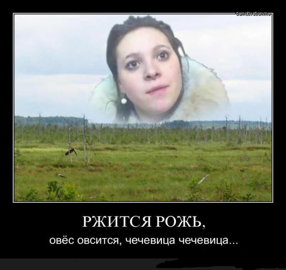 Баяны и аккордеоны. Смешные и не очень