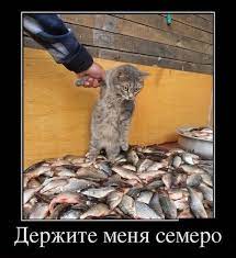 Такой бы пастью, да медка хлебнуть!