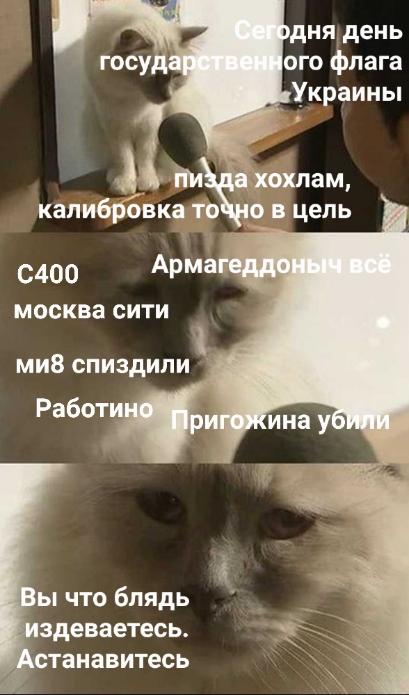 В Тверской области потерпел крушение самолет Пригожина с бортовым номером RA-02795