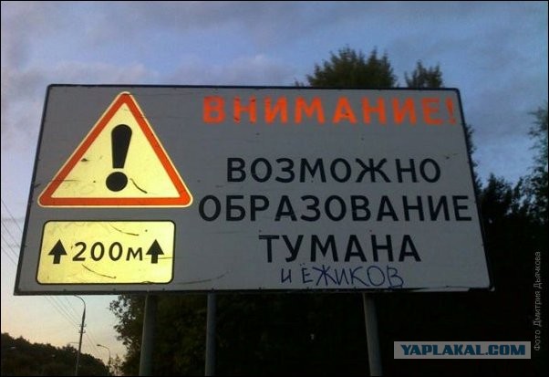 Первый гость весны:)